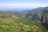 [Clickka per ingrandire]